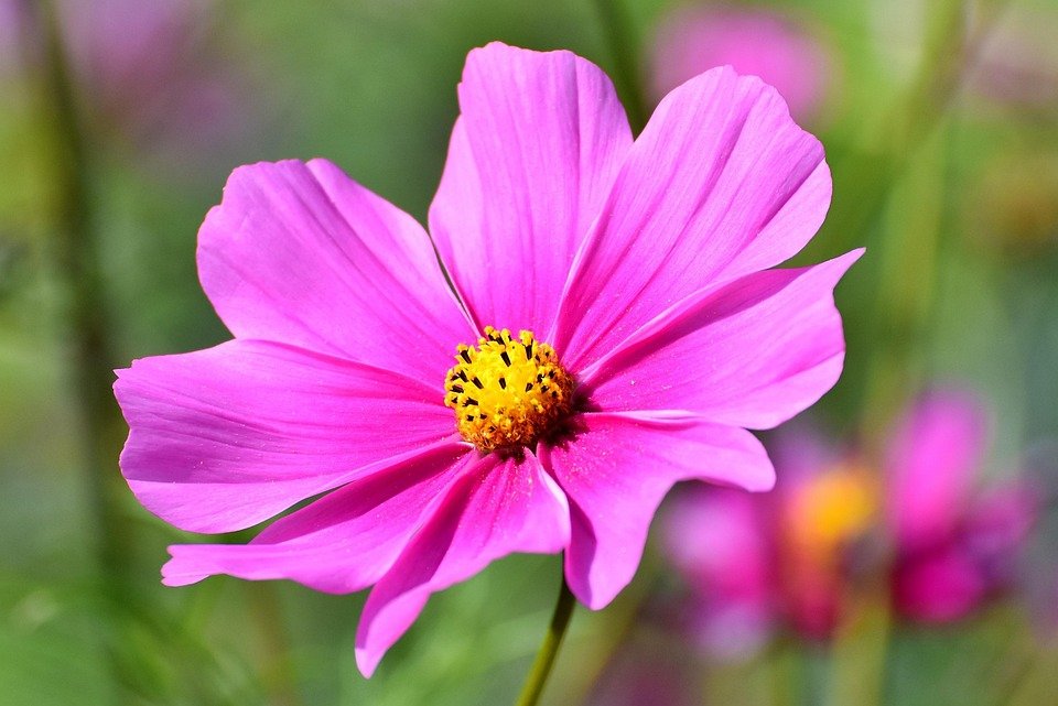 cover_pic