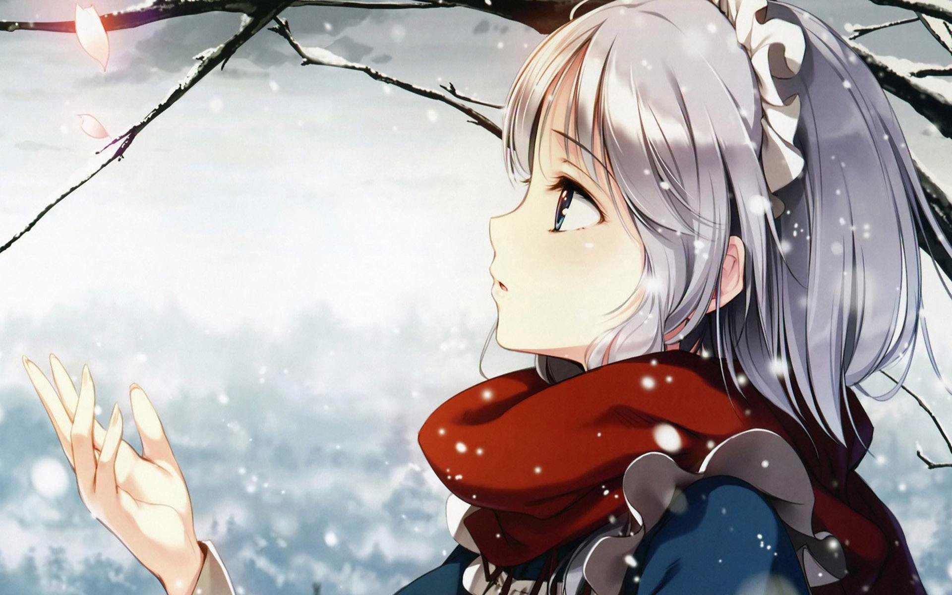 cover_pic