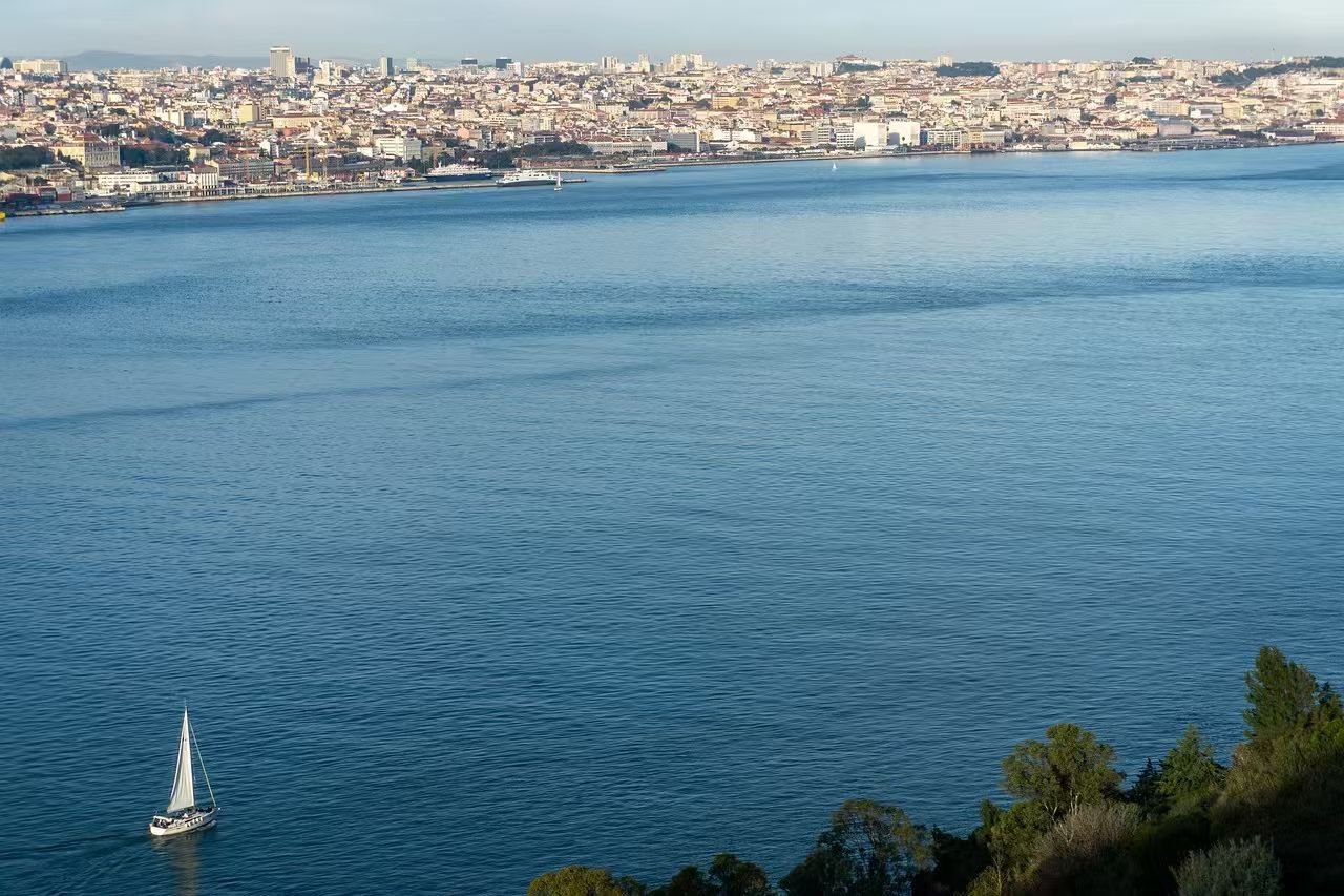 cover_pic