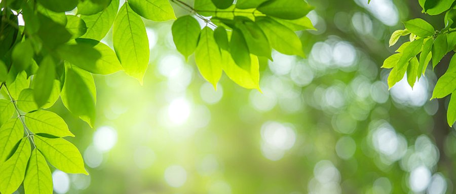 cover_pic