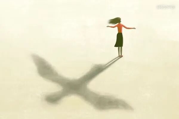 cover_pic