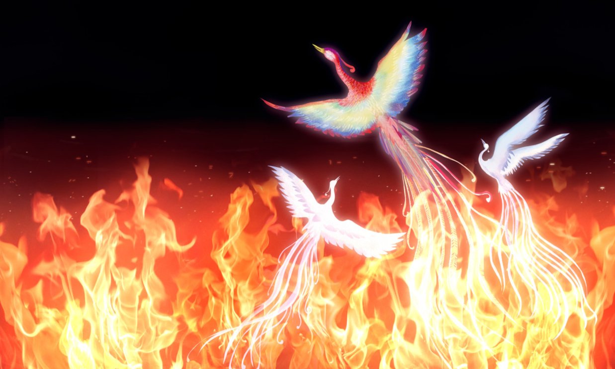 cover_pic