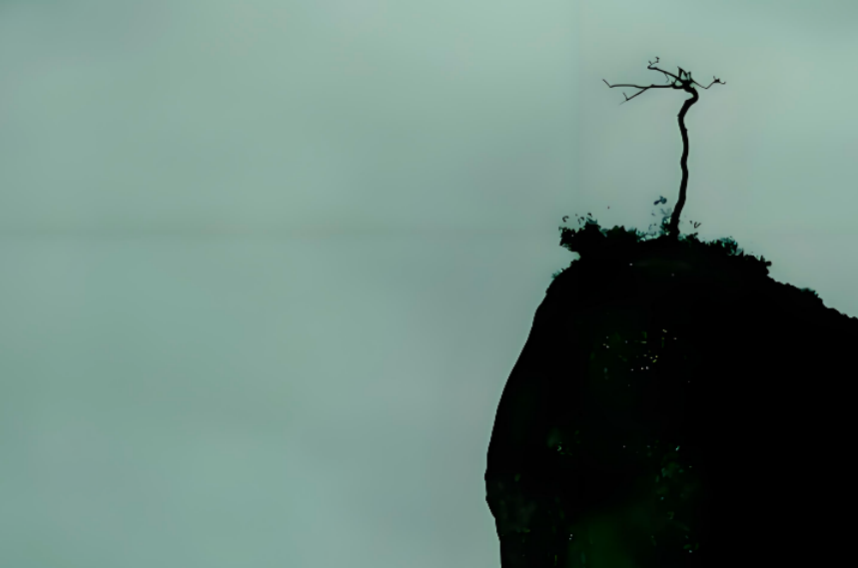 cover_pic