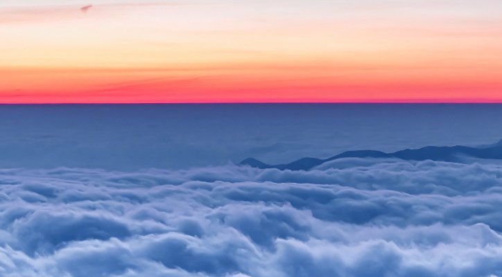 cover_pic