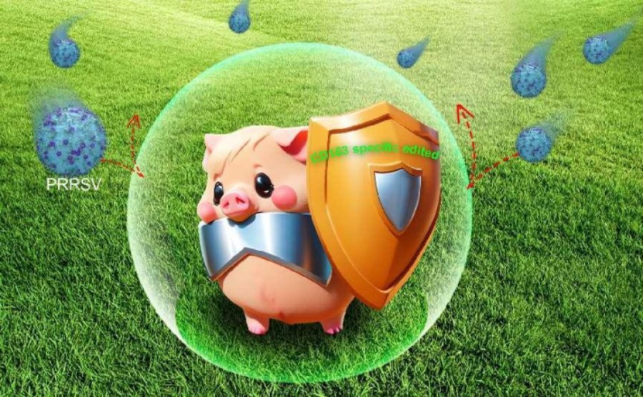 cover_pic