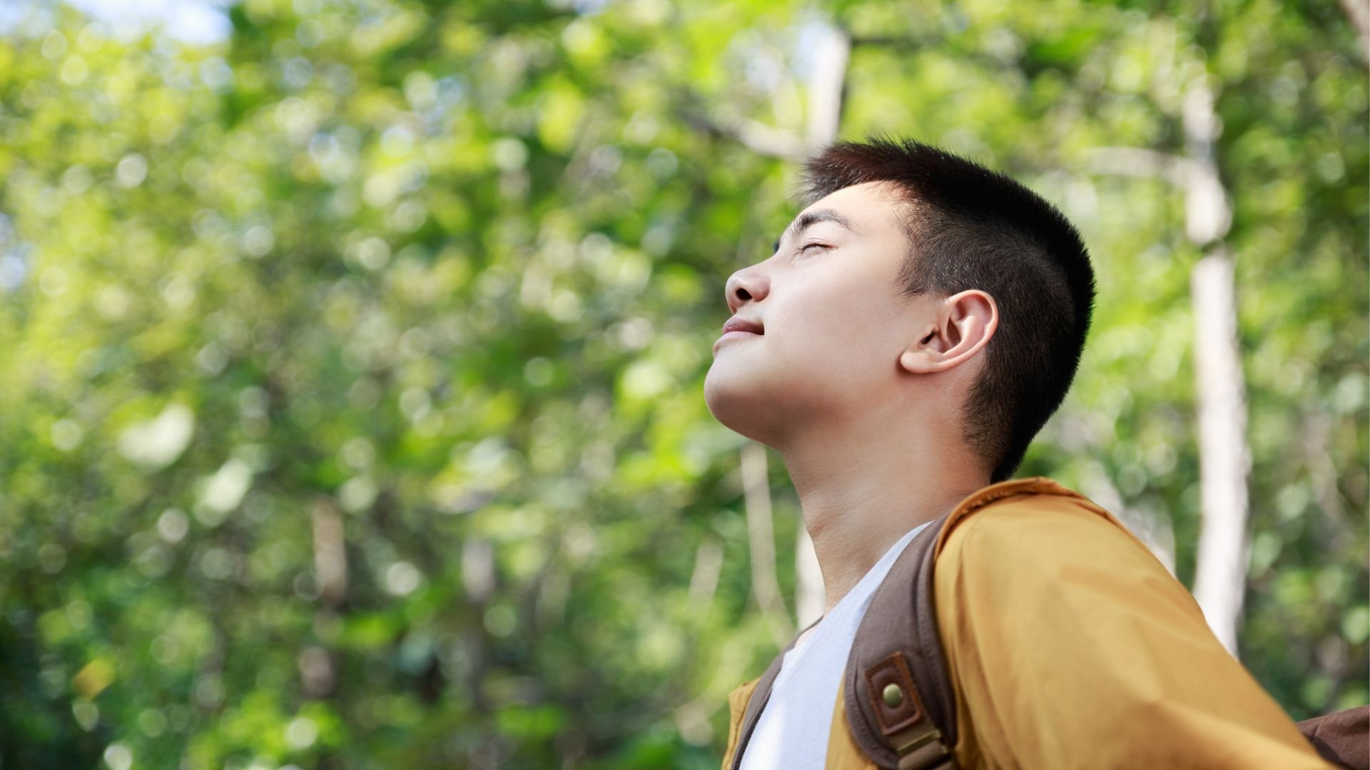 cover_pic