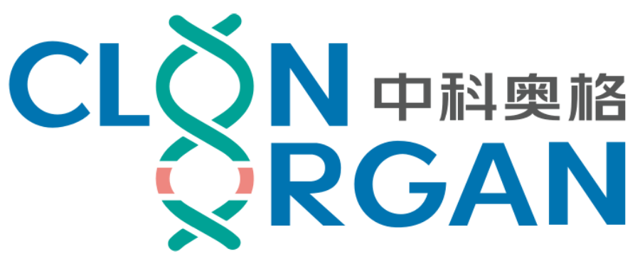 cover_pic