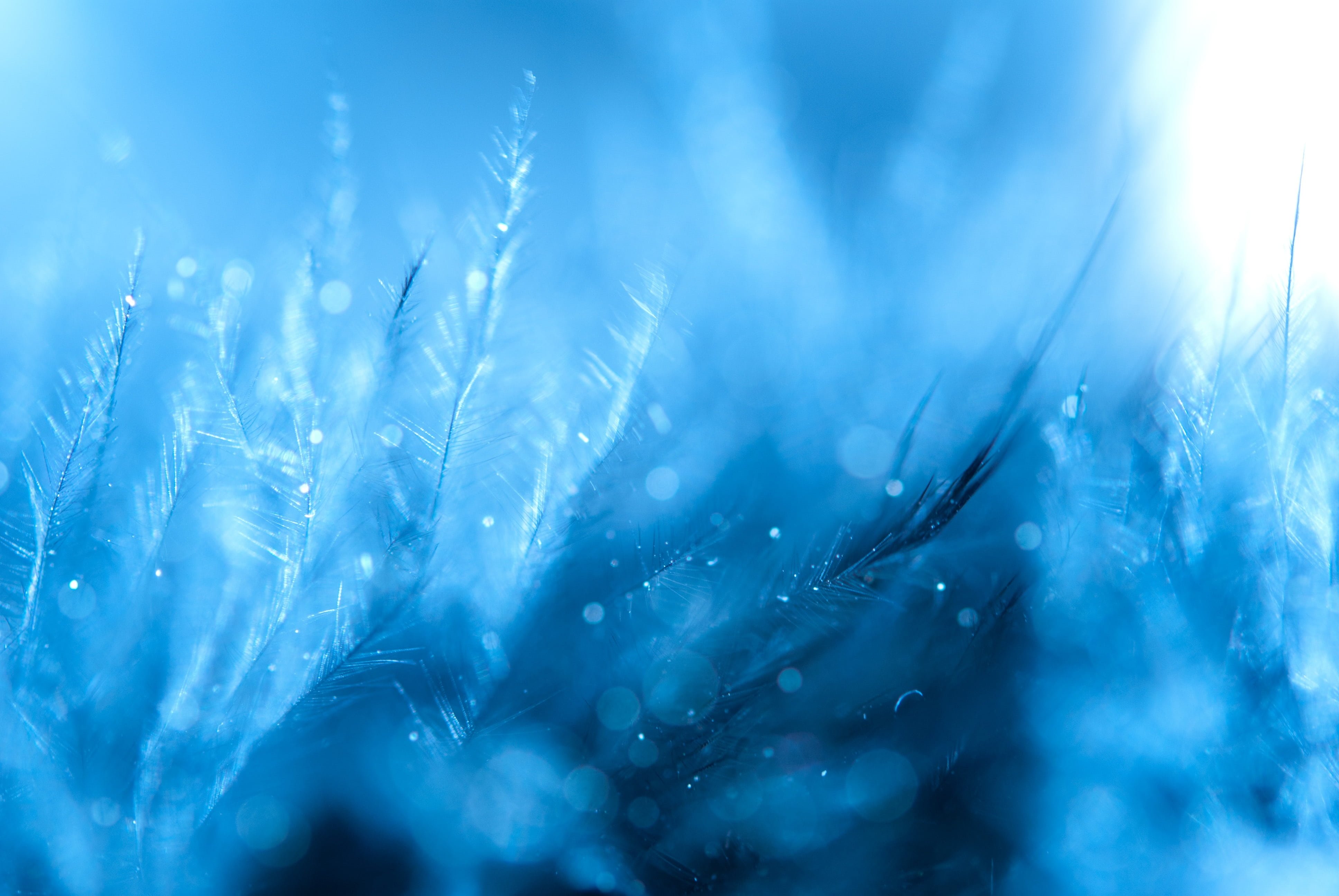 cover_pic