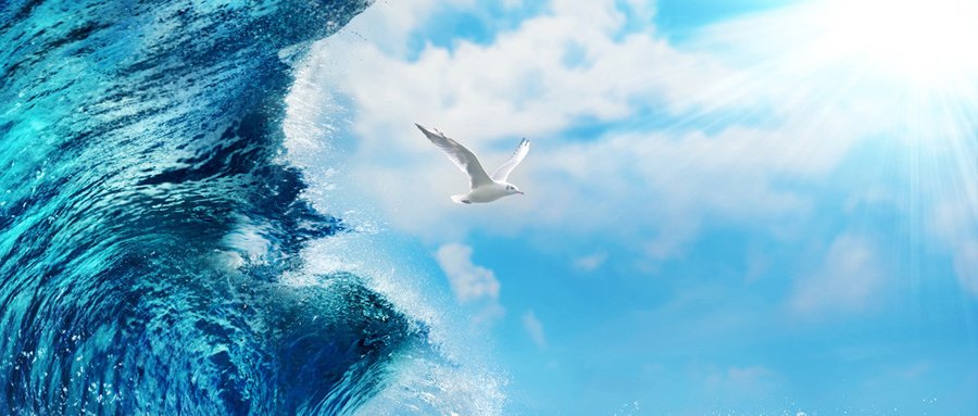 cover_pic