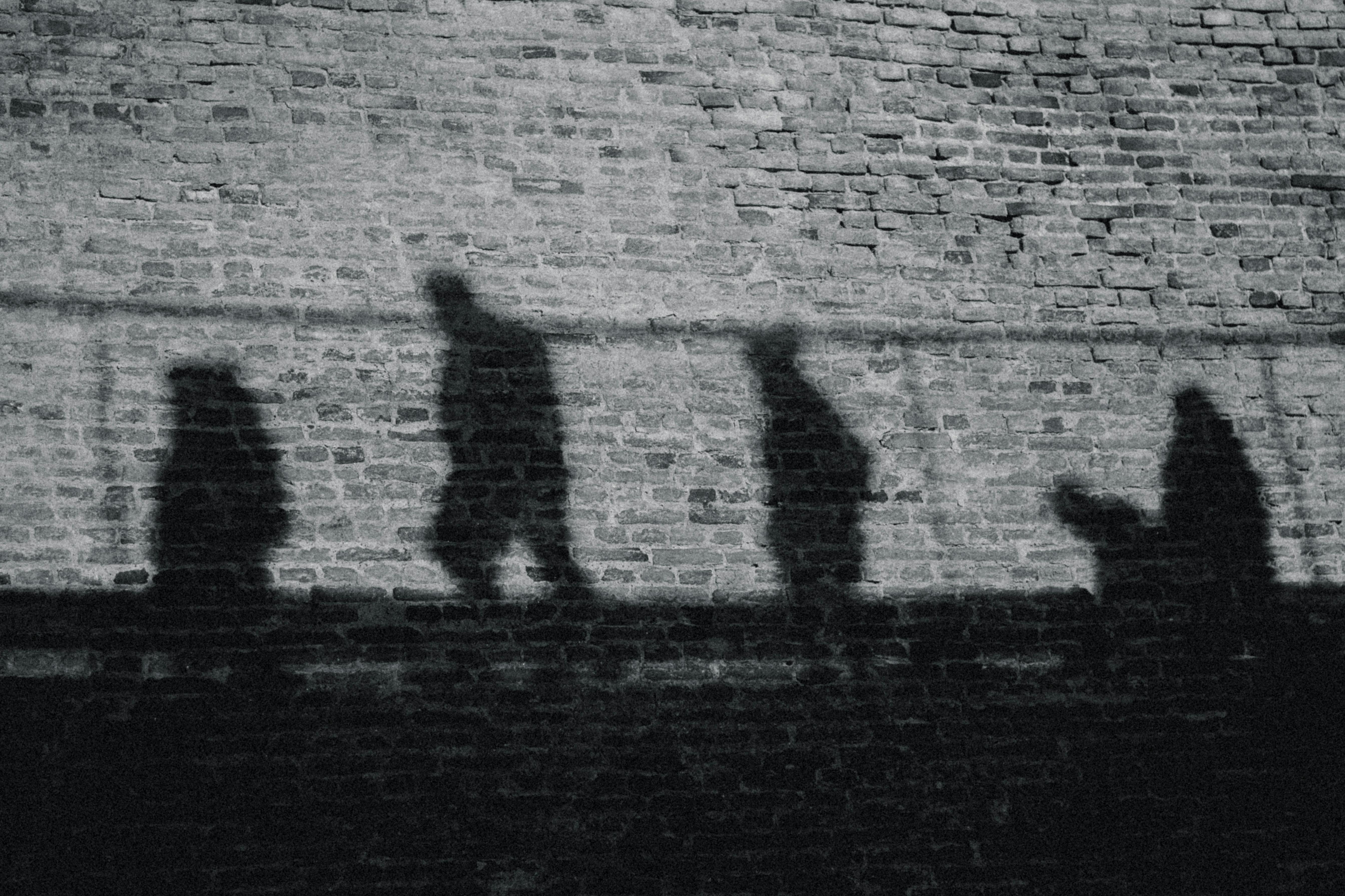 cover_pic