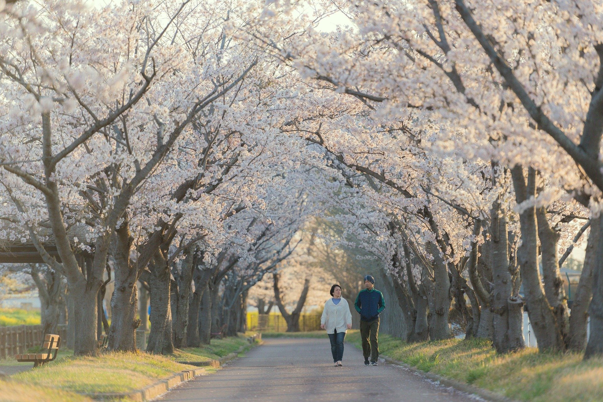 cover_pic