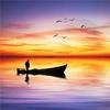 cover_pic