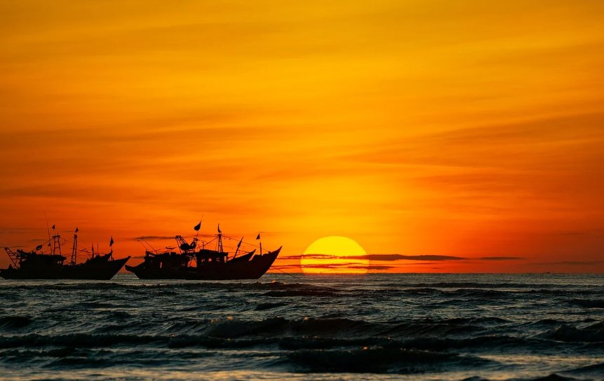 cover_pic