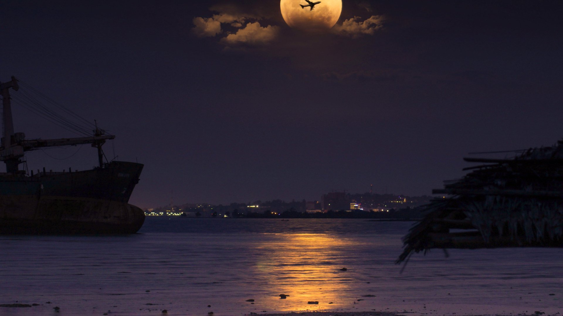 cover_pic