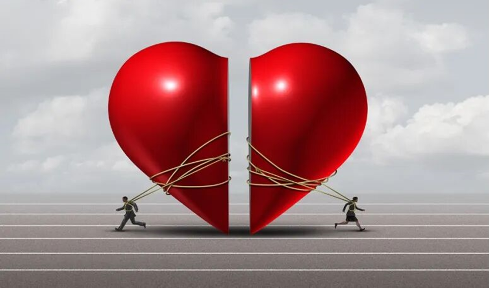 cover_pic