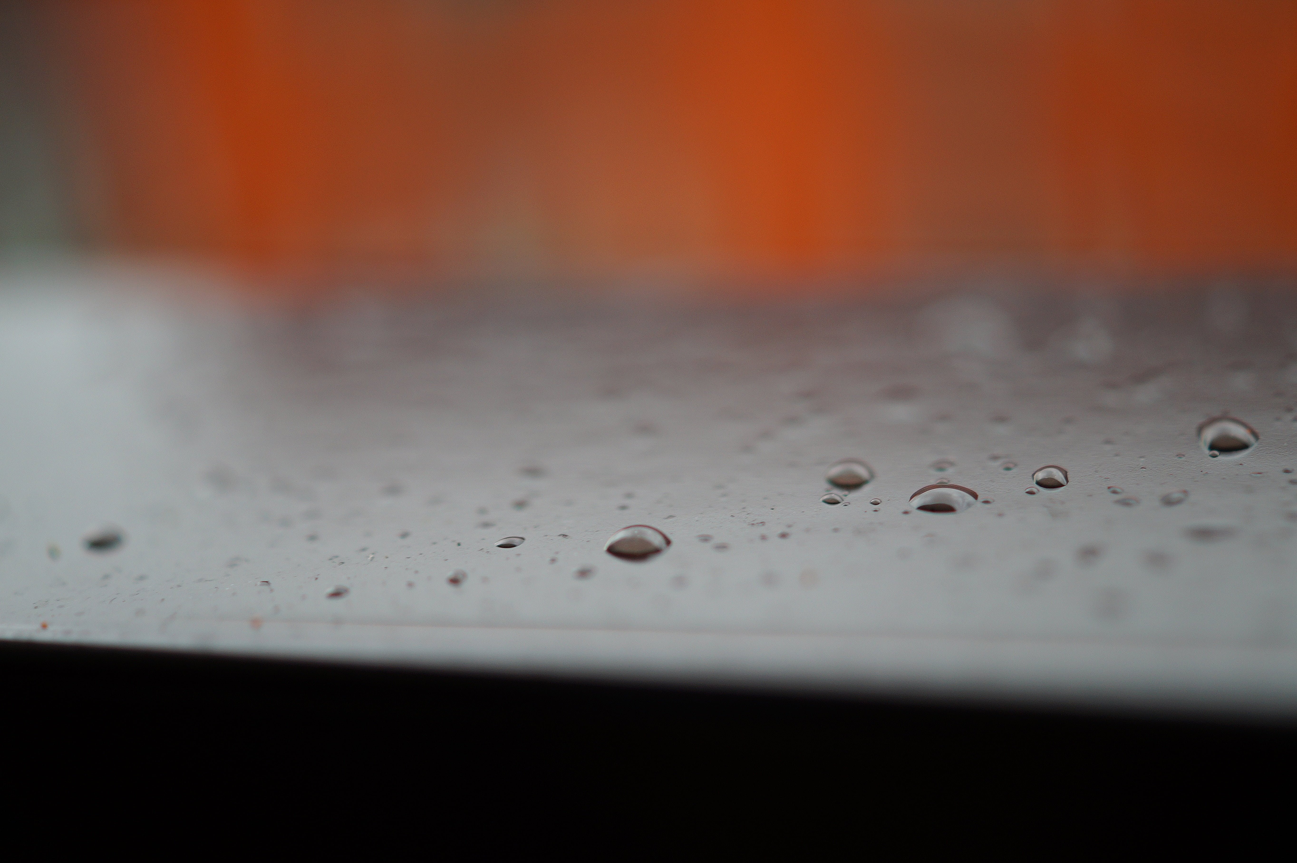 cover_pic