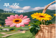 cover_pic