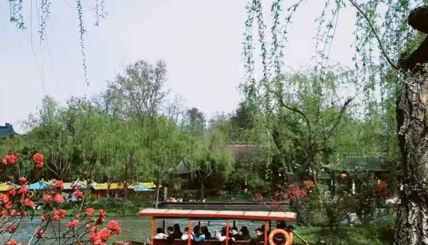 cover_pic