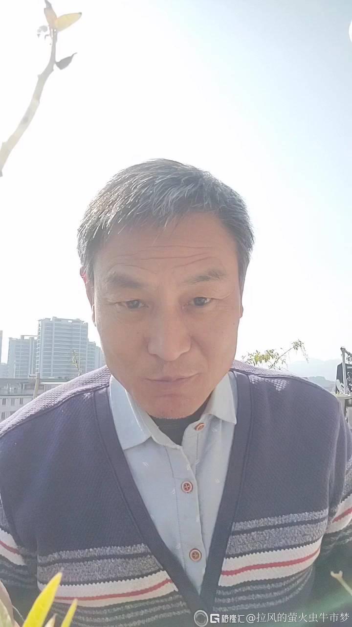 分享图片
