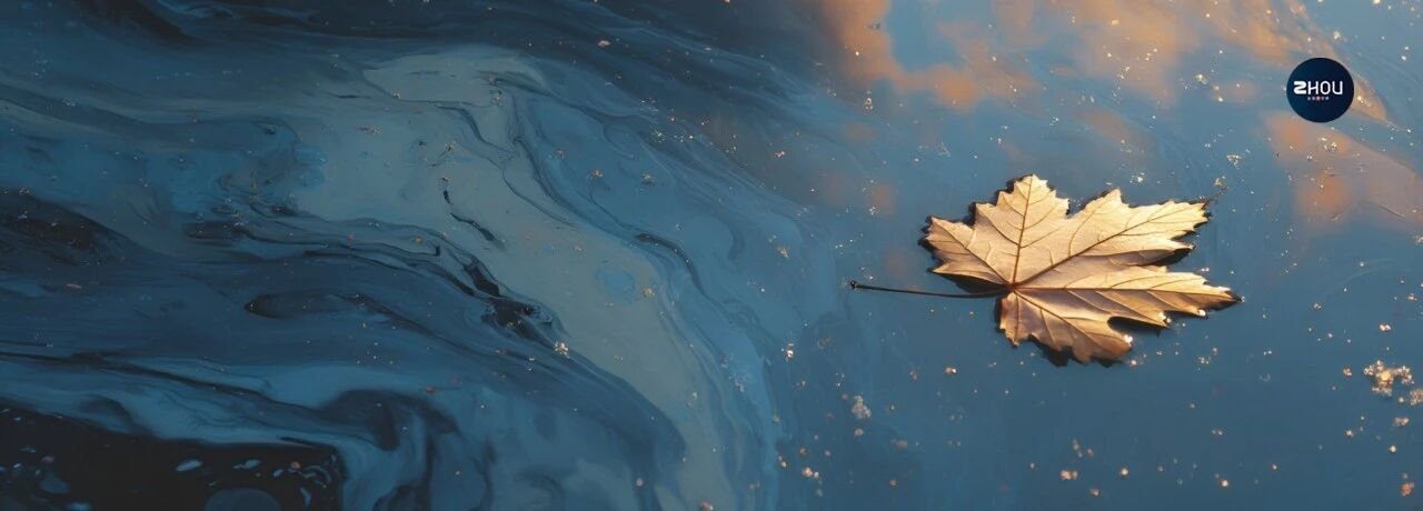 cover_pic