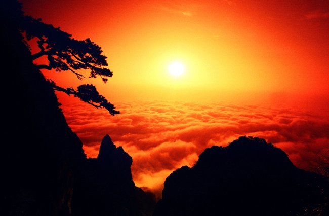 cover_pic